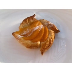 Apricot Pastry