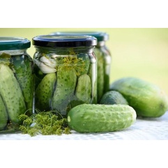 Pickled Cucumbers